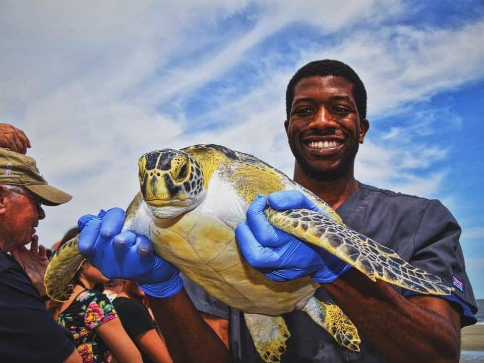 Chandler Sharp with a sea turtle.